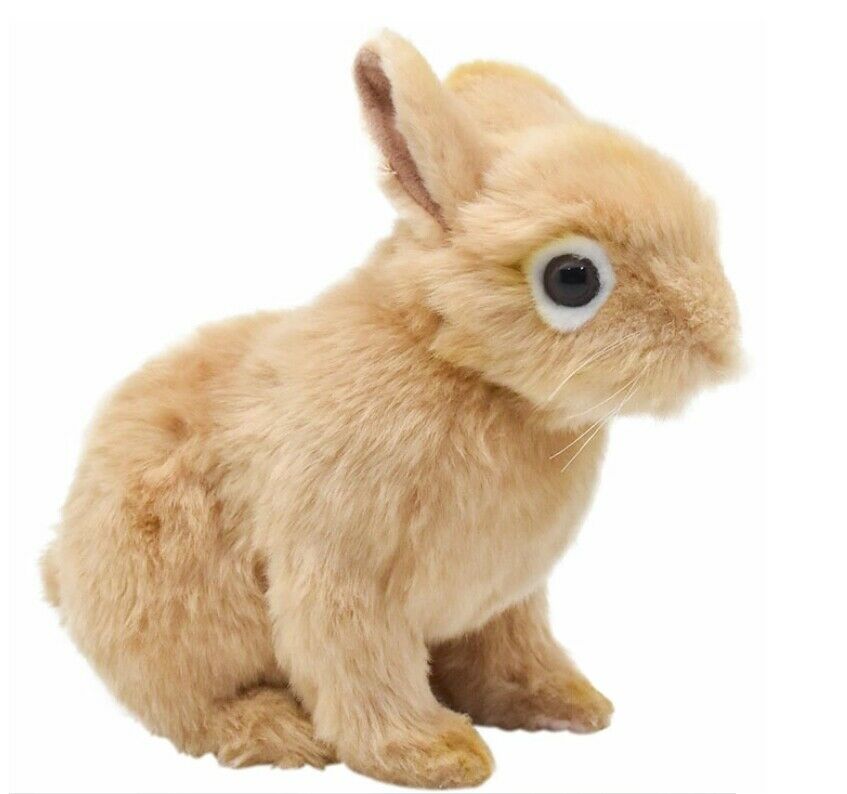 Hansa Stuffed Doll Netherland Dwarf Rabbit Plush Toy From Japan Bh7022