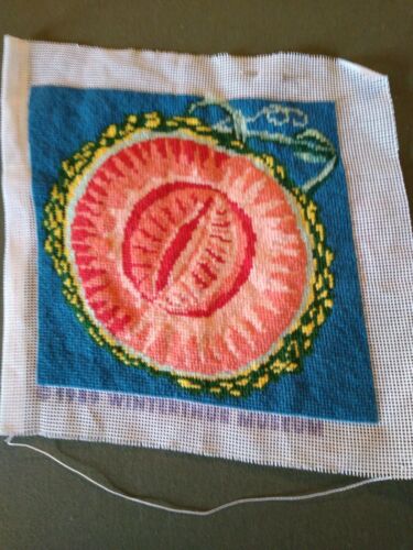 19th Century Luscious Fruits Needlepoint Completed Canvas Winterthur Museum 1989