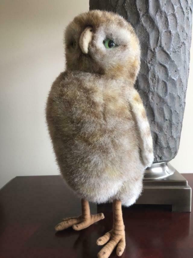 Hansa Burrowing Owl - Shortly Displayed Only - Plush Animal Nwot