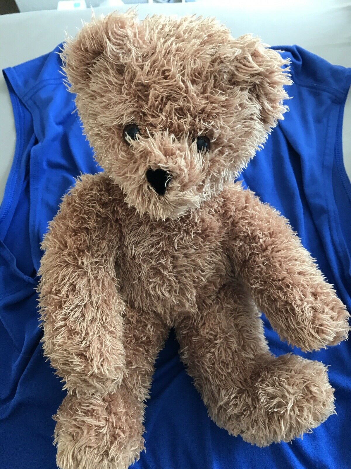 Vermont Teddy Bear 10” Friends For Life Sitting Plush Stuffed Animal