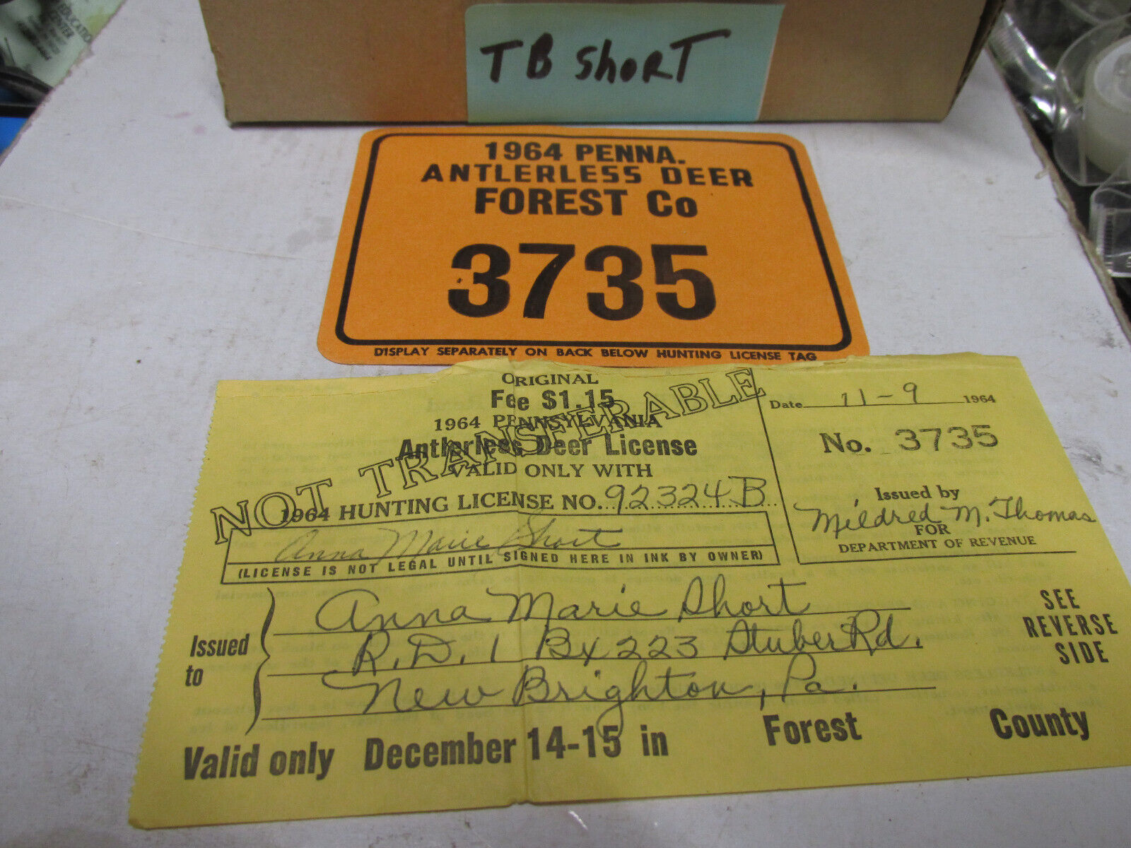 [TBshort] 1964 Pa resident Beaver county, antlerless hunting license,